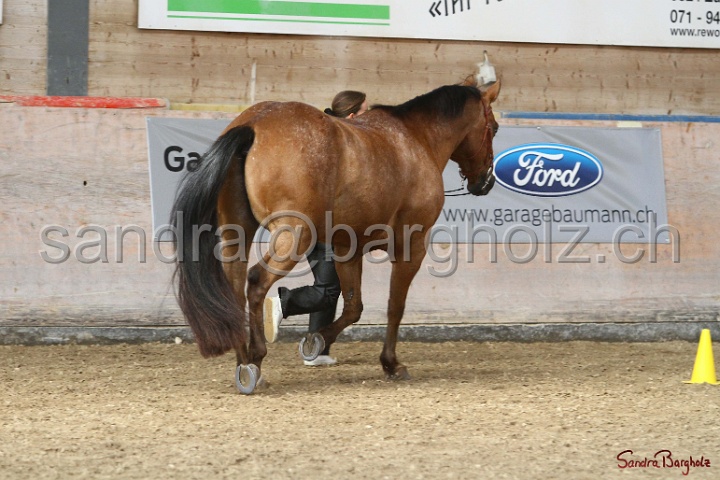 24-ApHC HIH_117.jpg